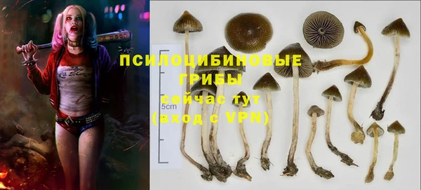 ECSTASY Арсеньев