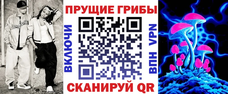 сколько стоит  Сольцы  Галлюциногенные грибы мицелий 